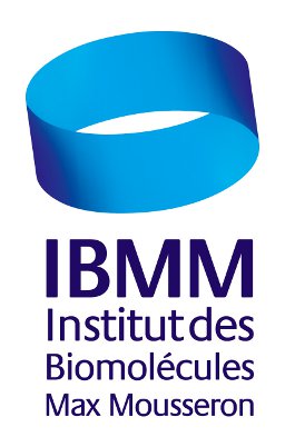 Logo_IBMM