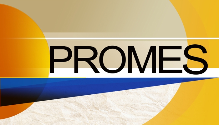 Logo_PROMES